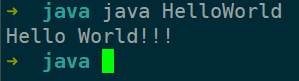 hello_world_run_in_java